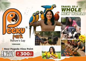Best Place to Visit in Yercaud with Family - Peeku Park Blog